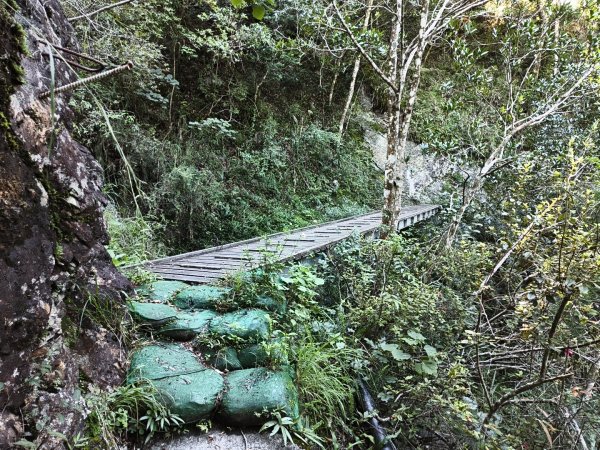 [玉山尋寶任務-07/12] 2025_0824 八通關雲龍瀑布步道2870599