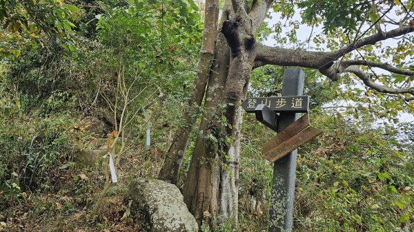 暗影山三進三出2366588