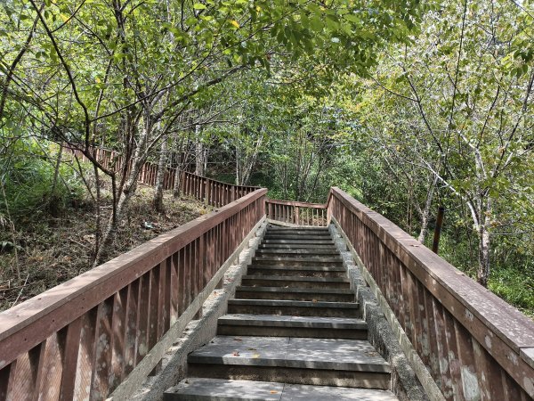 [百山百鳥尋旅-06/15] 2025_0830 貓囒山步道2875712