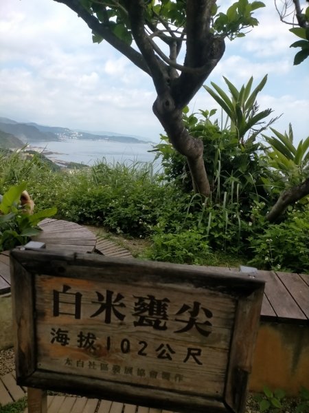 基隆一日雙塔2788176