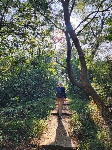 新竹湖口｜萬年道、仁和步道、金獅古道、漢卿步道2912211