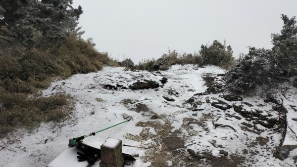 20250127_關山嶺山2706877