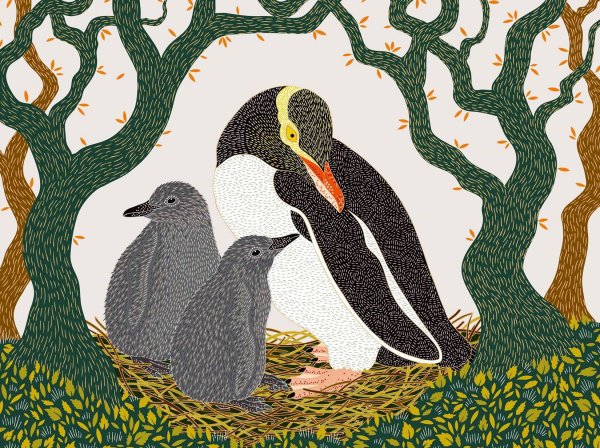 【書摘】《美麗的滅絕：世界瀕危動物圖鑑》－黃眼企鵝