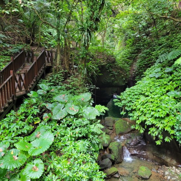 水濂橋步道1499938