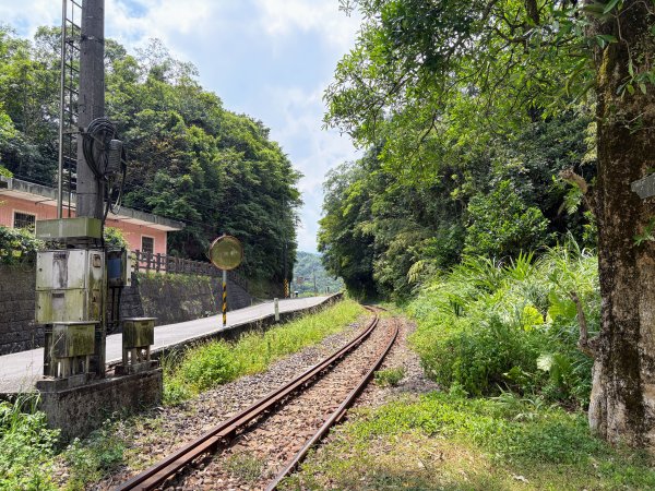 五分山系-菁桐煤礦段2874681