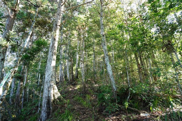 新竹 五峰 清泉山、民都有山2633700