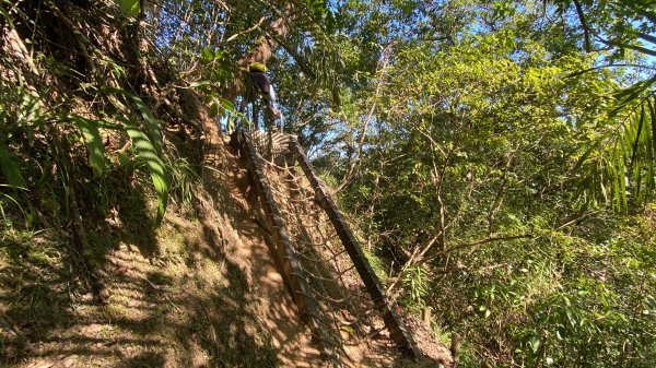 2025微笑山線大縱走尋寶集章任務-Ep.12【五分山系】望古瀑布段2908864