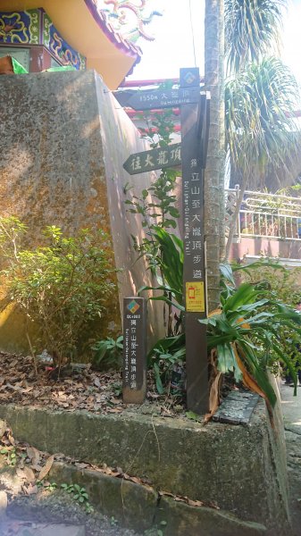 20210228獨立山大籠頂步道1618522