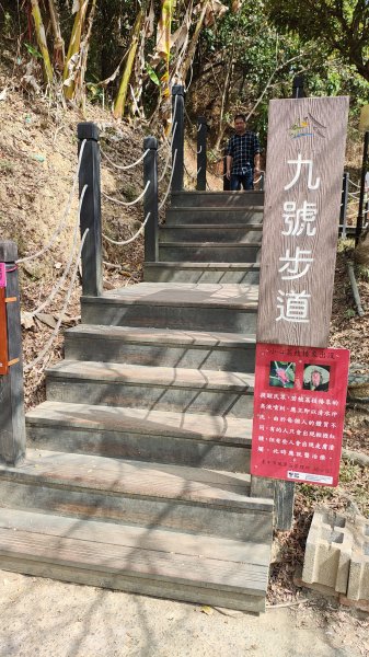 大坑9上9-1下3031312