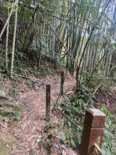 1120329奮瑞古道2643541