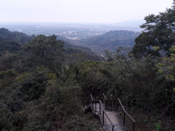 雲林林內龍過脈森林步道20190323550569