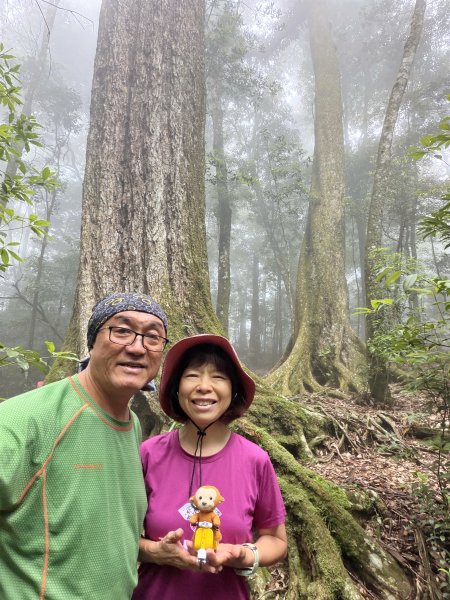 三崠連走O繞-肥崠(長壽)山-大崠山-醜崠山 202605313074266