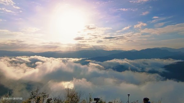 除夕寒流來襲的翡翠水庫雲海&天元宮寒櫻1/282700705
