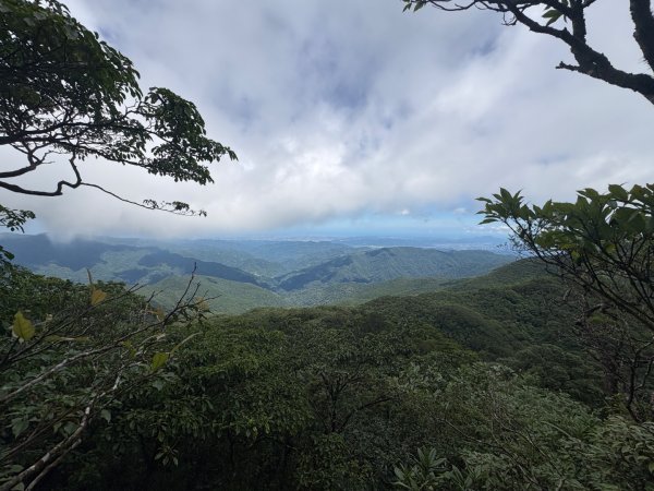 戲水（卡保封面