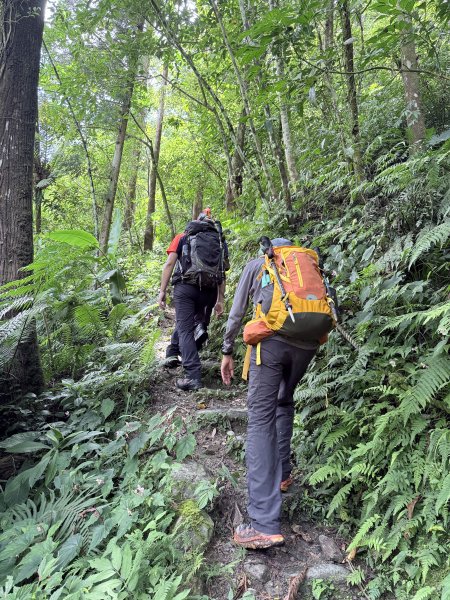 桶後越嶺道悠遊（烏來－礁溪）    2025.7.52827985