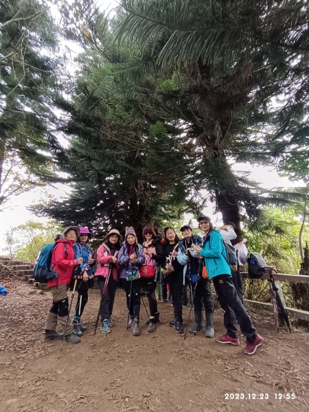 四訪苗栗的花果山-小百岳#037馬那邦山、雪霸國家公園管理處【小百岳集起來、苗栗-臺灣百大必訪步道】2394268