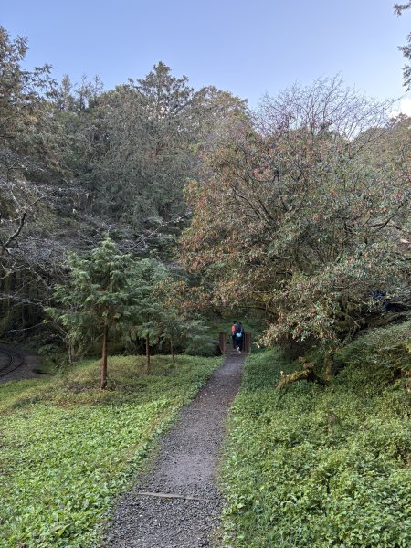 20251225塔山步道(大塔山)2970287