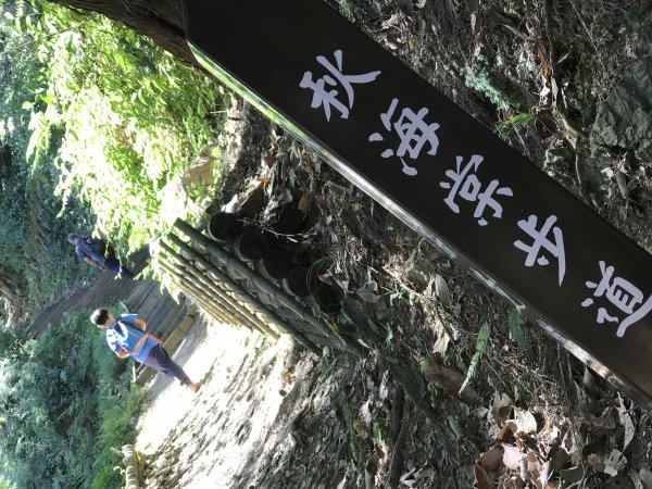 110年5月16日高雄   藤枝國家森林遊樂區1456882