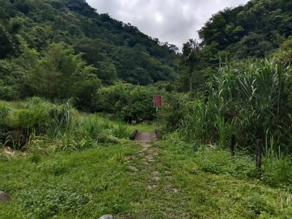 雙溪區崩山坑古道+下坑山稜線越嶺路+下坑山O型2839785
