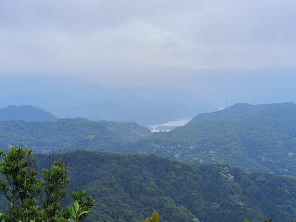 新北市/台北市-二格山3053847