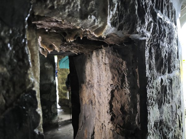 2026_0131 獅球嶺中央砲台2997620