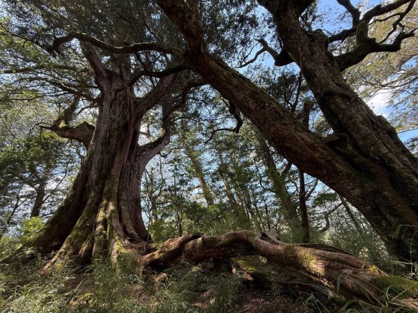 秀林塔次基里溪古關原3027637