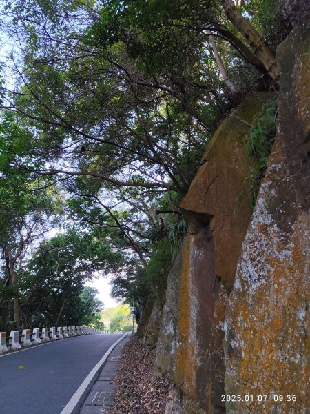 天母→猴洞→半嶺→翠峰步道→翠峰瀑布→天母古道→陽明天主堂2685125