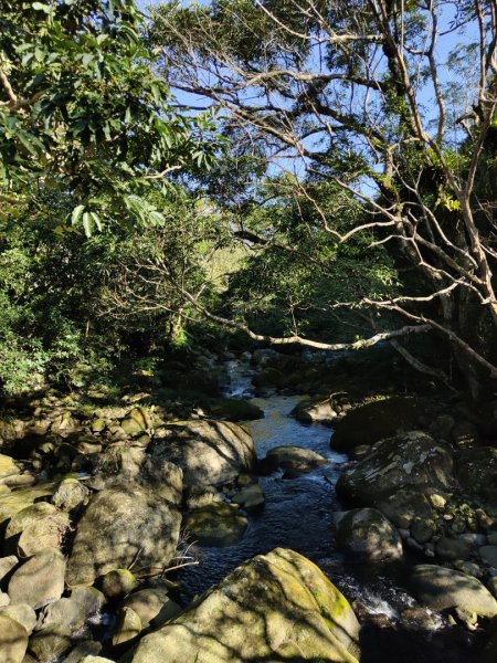 2024.02.12 高遶溪古圳步道2844448