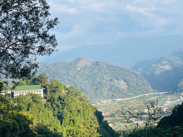 1141207金童山2957728