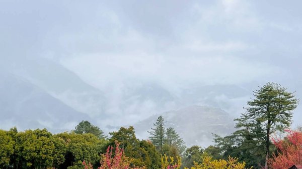 🌈3/1（日）福壽山農場~千櫻園✨FB：熊熊趴爬走🌈3008563