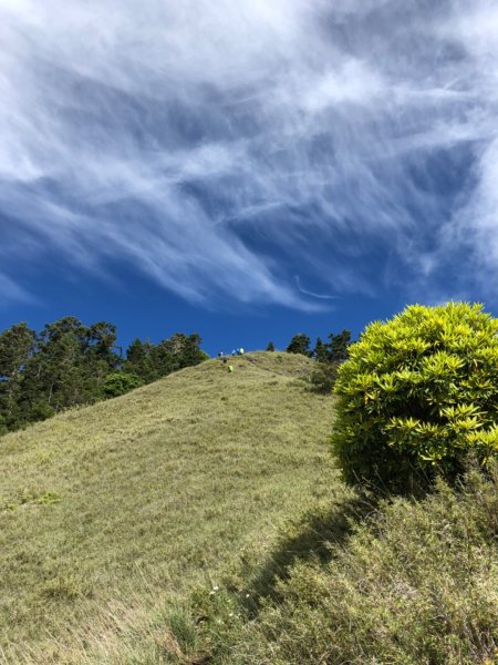 志佳陽大山949312