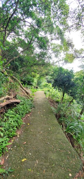 2024-06-15觀音山【福隆山、尖山(占山)登山步道】O走2528208