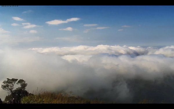 阿里山雲瀑&雲海/富士山直播即時視訊841048