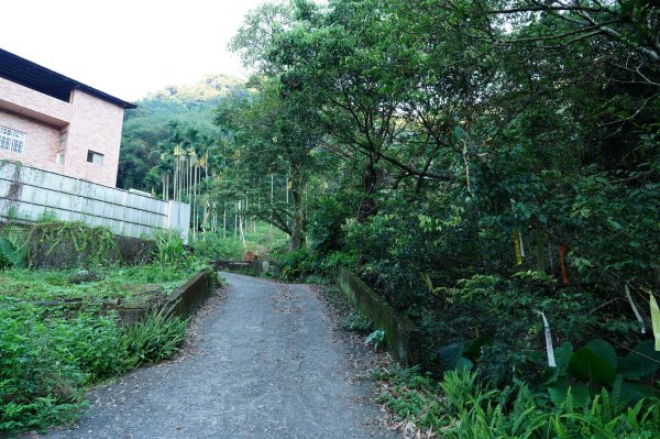 新北 三峽 金敏子山、詩朗山、塞口坑山、內金敏山2565595