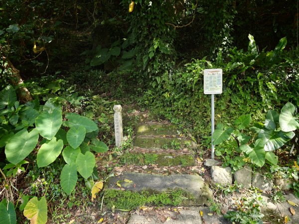 [淡蘭古道] 2026_0531 北路第一段_苧仔潭古道3070484