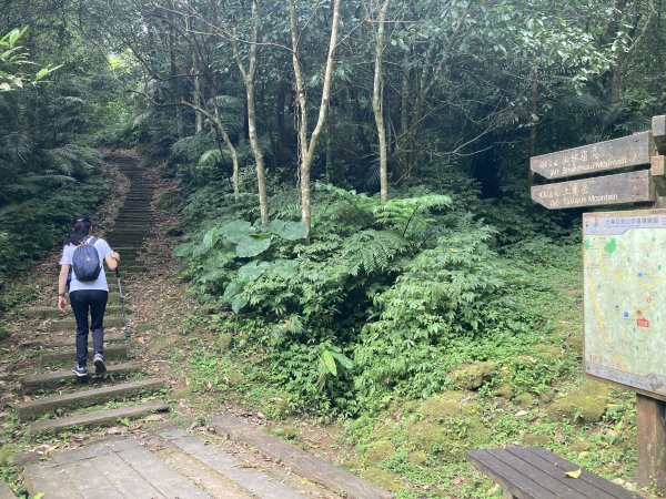 土庫岳2527747