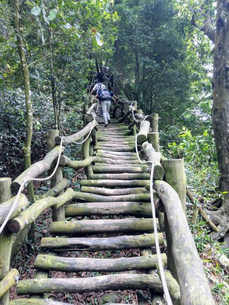 頭嵙山(小百岳#41)大坑4,5,1步道1003690