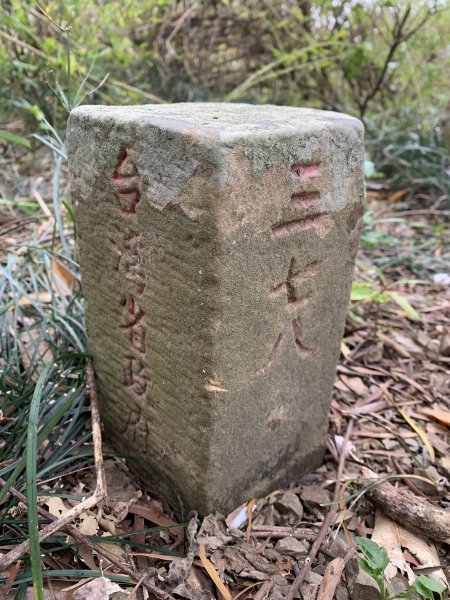 20250127屏東坪埔厝山-草山-南湖呂山西峰-南湖呂山2705088