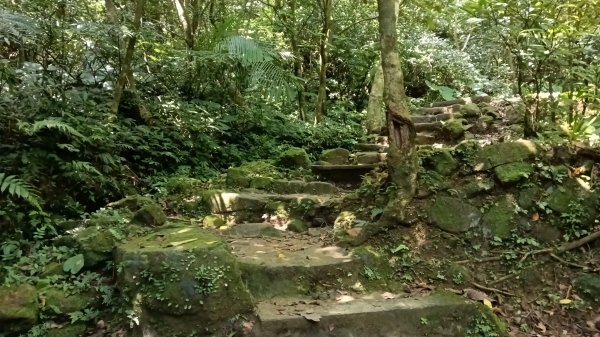 基隆市海興森林步道-情人塔-老鷹岩-情人湖登山步道O型3092719