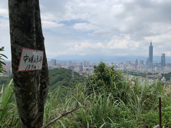 [書蟲山行者健行] 中埔山&中埔山東峰---炎夏迷途之旅