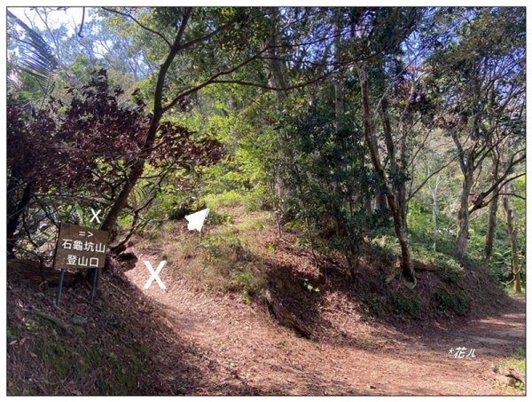 草嶺山、白石山、頭寮山 六連峰 O型路線2798630