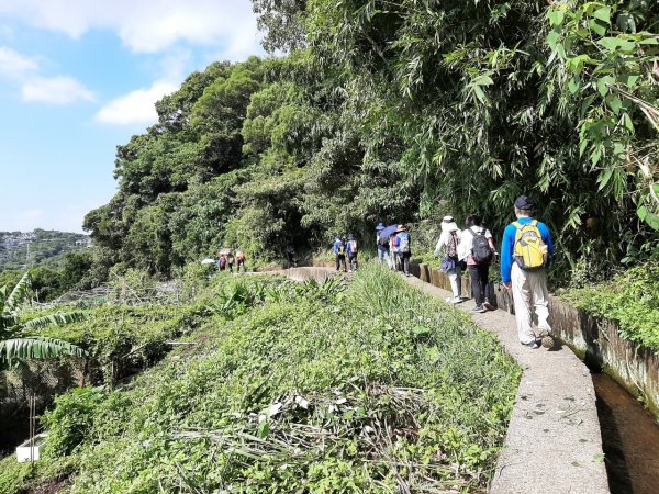 天母→猴洞→半嶺→紗帽路→湖山→紗帽山登山口1494752