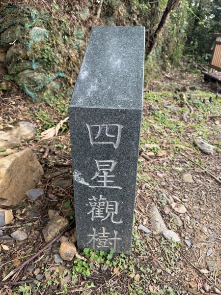 七星嶺步道2704718