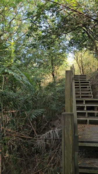 20251223芎林文林古道O走+雞寮坑山+芎林顯伯公野餐2975925