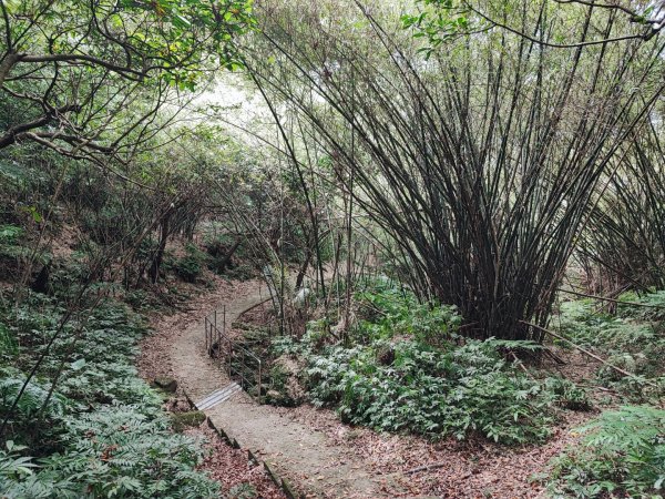 槓子寮砲台、槓子寮山步道(龍崗步道)-(基隆)臺灣百大必訪步道2248951