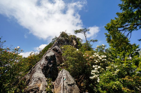 鳶嘴山捎來山步道570428