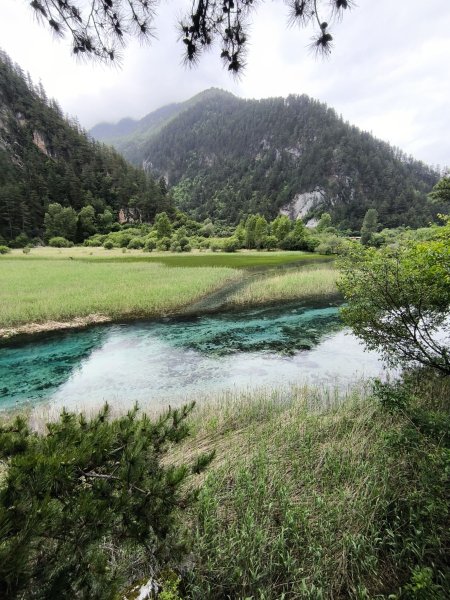 【海外健行】在山海與古都間，一半人間煙火，一半天上霓虹。3071565