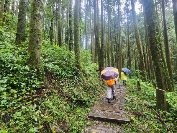 20250719頂湖上大凍山2907131