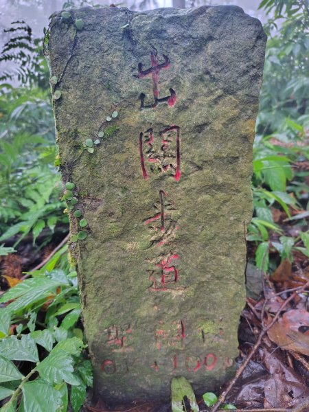 苗栗關刀山2975076