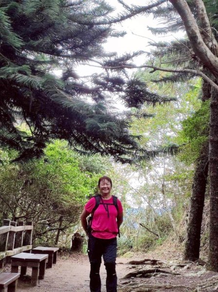 馬那邦山（珠湖登山口）2933933